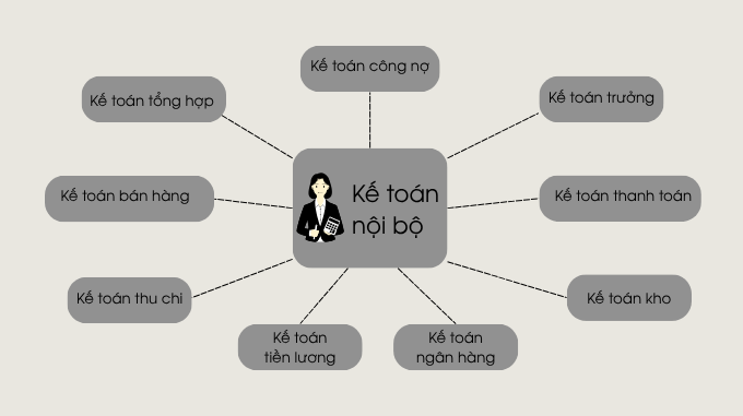Các phân loại vị trí kế toán nội bộ trong doanh nghiệp