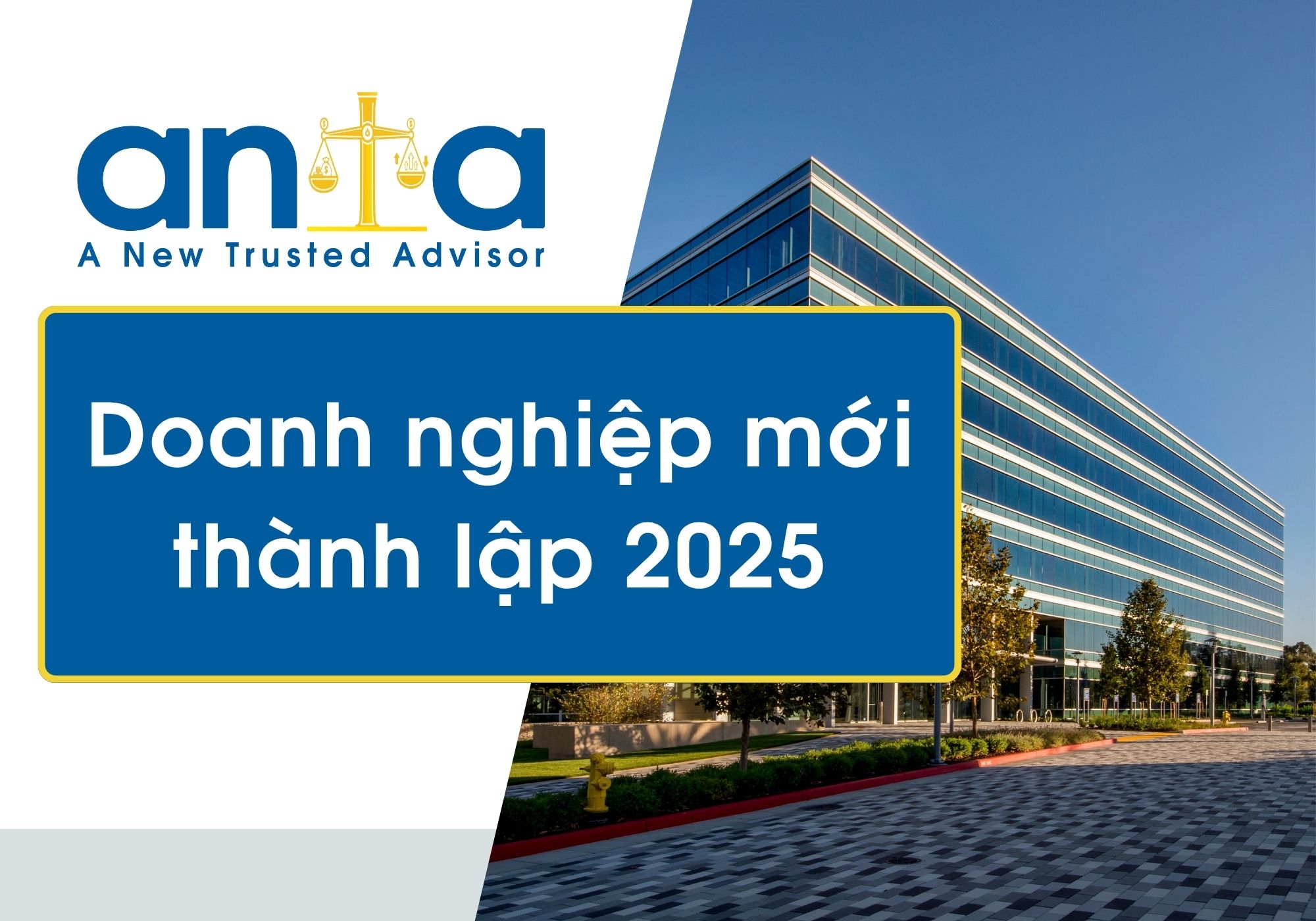 Công ty TNHH Trí Việt Education – Mã Số Thuế: 2601113932